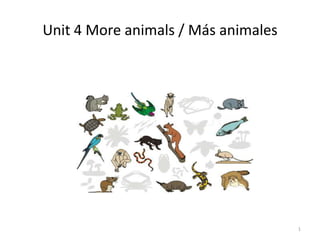 Unit 4 More animals / Más animales 1 