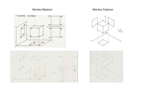Montea Biplanar Montea Triplanar
 