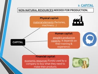 2. CAPITAL
NON-NATURAL RESOURCES NEEDED FOR PRODUCTION.
CAPITAL
Physical capital:
material elements (factories,
machinery…)
Human capital:
people’s productive
capacity. It depends on
their training &
experience.
Financial capital:
economic resources (funds) used by a
company to buy what they need to
make their products.
 