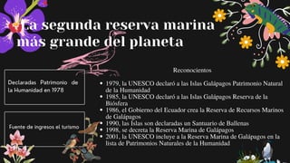 La segunda reserva marina
más grande del planeta
1979, la UNESCO declaró a las Islas Galápagos Patrimonio Natural
de la Humanidad
1985, la UNESCO declaró a las Islas Galápagos Reserva de la
Biósfera
1986, el Gobierno del Ecuador crea la Reserva de Recursos Marinos
de Galápagos
1990, las Islas son declaradas un Santuario de Ballenas
1998, se decreta la Reserva Marina de Galápagos
2001, la UNESCO incluye a la Reserva Marina de Galápagos en la
lista de Patrimonios Naturales de la Humanidad


Reconocientos


Declaradas Patrimonio de
la Humanidad en 1978
Fuente de ingresos el turismo
 