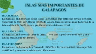 ISLA ISABELA
Llamada así en honor a la Reina Isabel I de Castilla que patrocinó el viaje de Colón.
Superficie de 4588 km². Ocupa el 58% de la zona terrestre de las islas. La forma de la
isla se debe a la fusión de seis grandes volcanes (cinco activos)
ISLA SANTA CRUZ
Llamada así en honor a la Cruz de Cristo. Tiene una superficie de 986 km² y una
altitud máxima de 864 metros.
ISLA FERNADINA
Llamada así en honor al Rey Fernando el Católico. Fernandina tiene una superficie
de 642 km² y una altura máxima de 1494 metros.
 