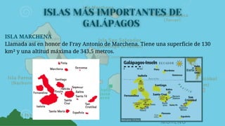 ISLA MARCHENA
Llamada así en honor de Fray Antonio de Marchena. Tiene una superficie de 130
km² y una altitud máxima de 343,5 metros.
 