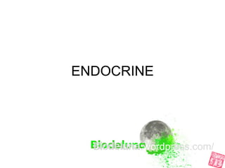 U4 endocrine system-fernando