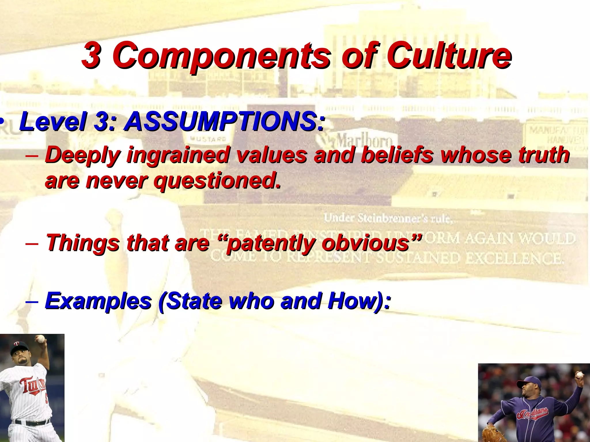 3 Components of Culture Level 3: ASSUMPTIONS: Deeply ingrained values and beliefs whose truth are never questioned. Things that are “patently obvious”  Examples (State who and How): 