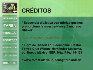 CRÉDITOS * Secuencia didáctica con rúbrica que nos proporcionó la maestra Nancy Zambrano Chávez. http ://www.nancyzch@hotmail.com * Libro de Ciencias 1, Secundaria, Castro Torres-Cruz Wilson- Hernández Ledezma, ed. Nuevo México, SEP. Méx. Pág.114-133 * www.forest.ula.ve/-rubenhg/fotosintesis INTRODUCCIÓN TAREA PROCESO RECURSOS EVALUACIÓN CONCLUSIONES CRÉDITOS 