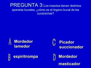 PREGUNTA 3: Los insectos tienen distintos aparatos bucales, ¿cómo es el órgano bucal de las cucarachas? Mordedor lamedor espiritrompa Mordedor masticador Picador succionador 