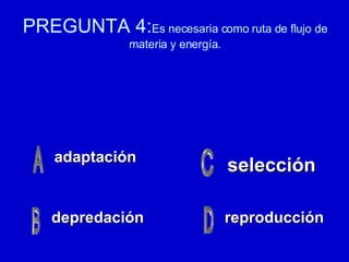 PREGUNTA 4: Es necesaria como ruta de flujo de materia y energía. adaptación depredación reproducción selección 