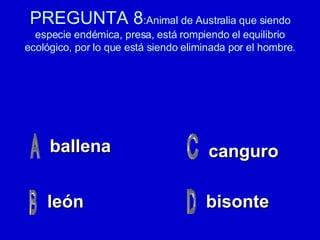 PREGUNTA 8 :Animal de Australia que siendo especie endémica, presa, está rompiendo el equilibrio ecológico, por lo que está siendo eliminada por el hombre. ballena león bisonte canguro 