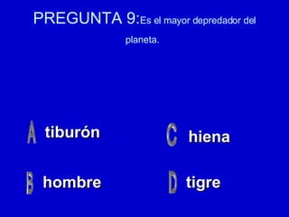 PREGUNTA 9: Es el mayor depredador del planeta.   tiburón hombre tigre hiena 