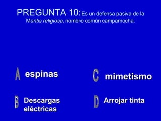 PREGUNTA 10: Es un defensa pasiva de la M antis religiosa,  nombre común campamocha. espinas Descargas eléctricas Arrojar tinta mimetismo 