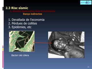 2.3 Risc sísmic 2. Efectes destructius dels terratrèmols Danys indirectes Devallada de l’economia Pèrdues de collites Epidèmies, etc Bacteri del còlera 