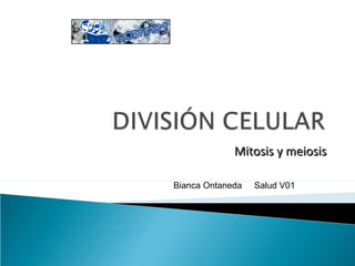 Mitosis y meiosis
Bianca Ontaneda

Salud V01

 