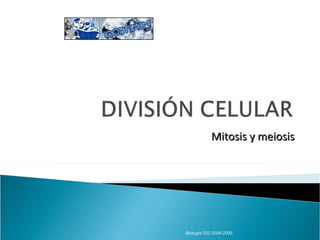 Mitosis y meiosis Biología 020 2008-2009 