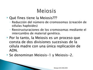 <ul><li>Qué fines tiene la Meiosis??? </li></ul><ul><ul><li>Reducción del número de cromosomas (creación de células haploi...