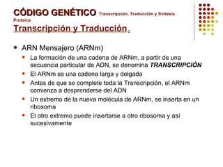 Codigo Genetico | PPT