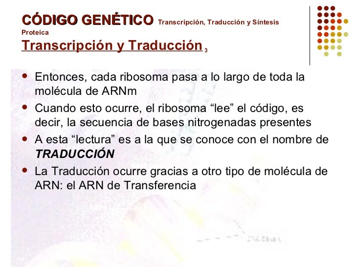 CÓDIGO GENÉTICO   Transcripción, Traducción y Síntesis Proteica  Transcripción y Traducción  3 <ul><li>Entonces, cada ribo...