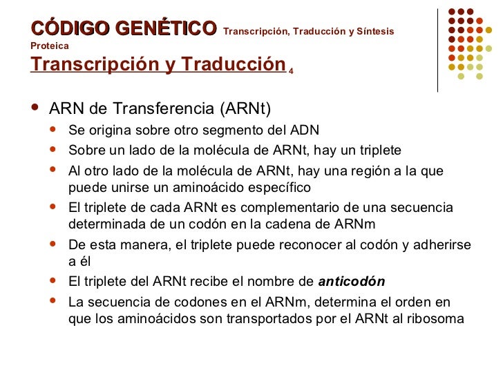 CÓDIGO GENÉTICO   Transcripción, Traducción y Síntesis Proteica  Transcripción y Traducción  4 <ul><li>ARN de Transferenci...