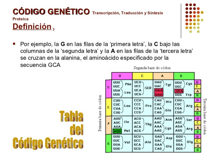 Tabla De Aminoacidos Funciones Tipos Y Caracteristicas Images