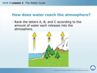 How does water reach the atmosphere?
• Rank the letters A, B, and C according to the
amount of water each releases into the
atmosphere.
Copyright © Houghton Mifflin Harcourt Publishing Company
Unit 4 Lesson 1 The Water Cycle
 