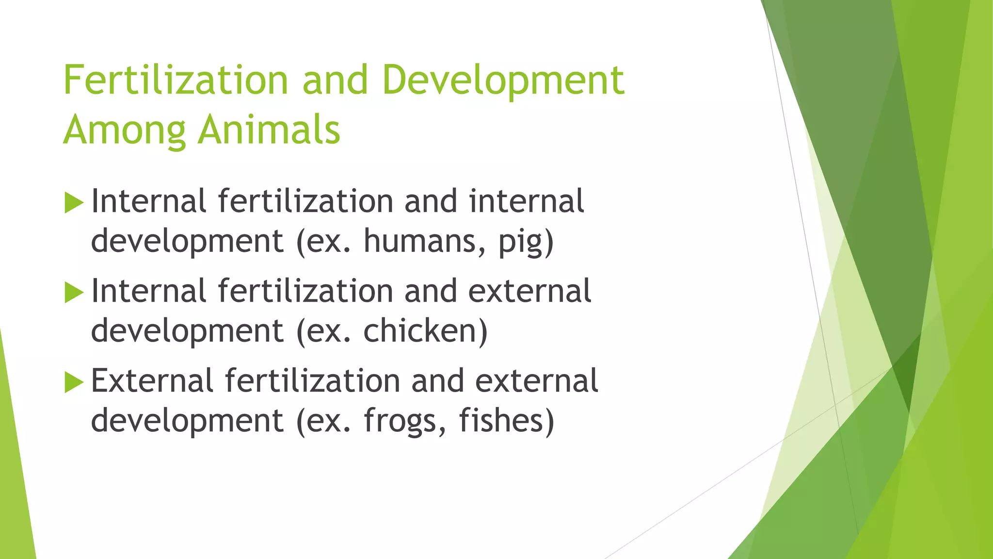 Fertilization and Development
Among Animals
 Internal fertilization and internal
development (ex. humans, pig)
 Internal fertilization and external
development (ex. chicken)
 External fertilization and external
development (ex. frogs, fishes)
 