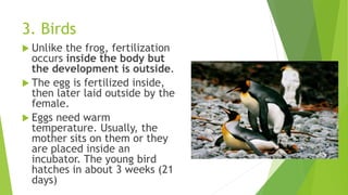 Unit 4, Lesson 4.5 - Sexual Reproduction in Animals | PPTX