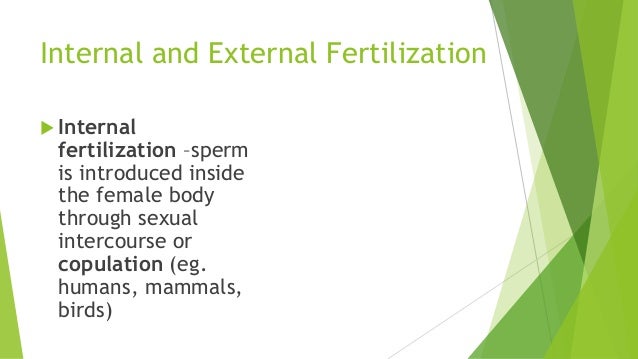 Unit 4 Lesson 4 5 Sexual Reproduction In Animals