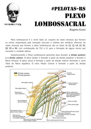 Rogério Gozzi
Plexo lombossacral é o nome dado ao conjunto de raízes nervosas que formam
os nervos responsáveis pela inervação muscular e cutânea dos membros inferiores. As
raízes nervosas que formam o plexo lombossacral são as raízes de L2, L3, L4, L5, S1,
S2, S3 e S4, com contribuições de T12 e L1 para a formação de alguns nervos que
inervarão a cavidade pélvica.
Anatomicamente o Plexo Lombossacral apresenta duas divisões: a divisão posterior
e a divisão anterior. O plexo lombar é formado a partir da divisão posterior e formará o
Nervo Femoral. O plexo sacral é formado a partir da divisão anterior formando o ramo
Tibial do Nervo Isquiático. O ramo Fibular Comum é formado a partir da divisão
posterior.
 
