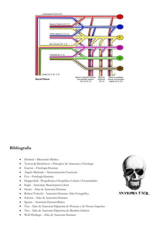 Bibliografia
 Dorland – Dicionário Médico
 Tortora & Derrickson – Príncipios de Anatomia e Fisiologia
 Guyton – Fisiologia Humana
 Ângelo Machado – Neuroanatomia Funcional
 Fox – Fisiologia Humana
 Hoppenfeld - Propedêutica Ortopédica: Coluna e Extremidades
 Kapit - Anatomia: Manual para Colorir
 Netter - Atlas de Anatomia Humana
 Rohen/Yokochi - Anatomia Humana: Atlas Fotográfico
 Sobotta - Atlas de Anatomia Humana
 Spence - Anatomia Humana Básica
 Tixa - Atlas de Anatomia Palpatória do Pescoço e do Tronco Superior
 Tixa - Atlas de Anatomia Palpatória do Membro Inferior
 Wolf-Heideger - Atlas de Anatomia Humana
 