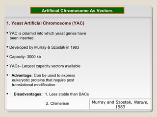1. Yeast Artificial Chromosome (YAC)
 YAC is plasmid into which yeast genes have
been inserted
 Developed by Murray & Szostak in 1983
 Capacity- 3000 kb
 YACs- Largest capacity vectors available
 Advantage: Can be used to express
eukaryotic proteins that require post
translational modification
 Disadvantages: 1. Less stable than BACs
2. Chimerism
Artificial Chromosome As Vectors
Murray and Szostak, Nature,
1983
 