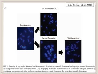 J. A. Birchler et al.,2010
 
