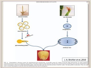J. A. Birchler et al.,2010
 