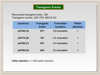 Construct Transgenic
Event
Truncation
locations
Pollen
Abortion
pWY86 (A) B77 3 S truncation +
pWY76 (B) T87 1 S truncation +
pWY86 (C) B37 4 L truncation +
pWY86 (D) B44 4 L truncation +
Recovered transgenic lines- 126
Transgenic events- 220 (T93, B83 & 44)
Transgenic Events
Pollen abortion: + = 50% pollen abortion
 