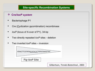 Site-specific Recombination Systems
 Cre/loxP system
 Bacteriophage P1
 Cre (Cyclization recombination) recombinase
 loxP (locus of X-over of P1), 34-bp
 Two directly repeated loxP sites - deletion
 Two inverted loxP sites – inversion
Gilbertson, Trends Biotechnol., 2003
Fig-loxP Site
 