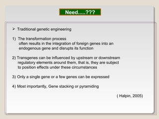 Need.....???
 Traditional genetic engineering
1) The transformation process
often results in the integration of foreign genes into an
endogenous gene and disrupts its function
2) Transgenes can be inﬂuenced by upstream or downstream
regulatory elements around them, that is, they are subject
to position effects under these circumstances
3) Only a single gene or a few genes can be expressed
4) Most importantly, Gene stacking or pyramiding
( Halpin, 2005)
 