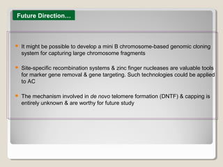  It might be possible to develop a mini B chromosome-based genomic cloning
system for capturing large chromosome fragments
 Site-specific recombination systems & zinc finger nucleases are valuable tools
for marker gene removal & gene targeting. Such technologies could be applied
to AC
 The mechanism involved in de novo telomere formation (DNTF) & capping is
entirely unknown & are worthy for future study
Future Direction…Future Direction…
 