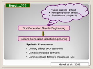 First Generation Genetic Engineering
• Gene stacking- difficult
• Transgene position effects
• Insertion-site complexity
Second Generation Genetic Engineering
Synthetic Chromosome
 Delivery of large DNA sequences
 Complete metabolic pathways
 Genetic changes 100-kb to megabases (Mb)
Goyal et al., 2009
Need.....???
 