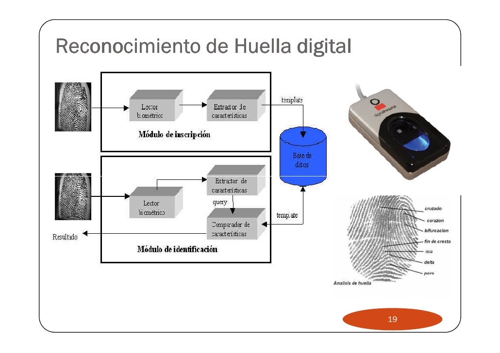revisión escoltas facial revisión escoltas facial