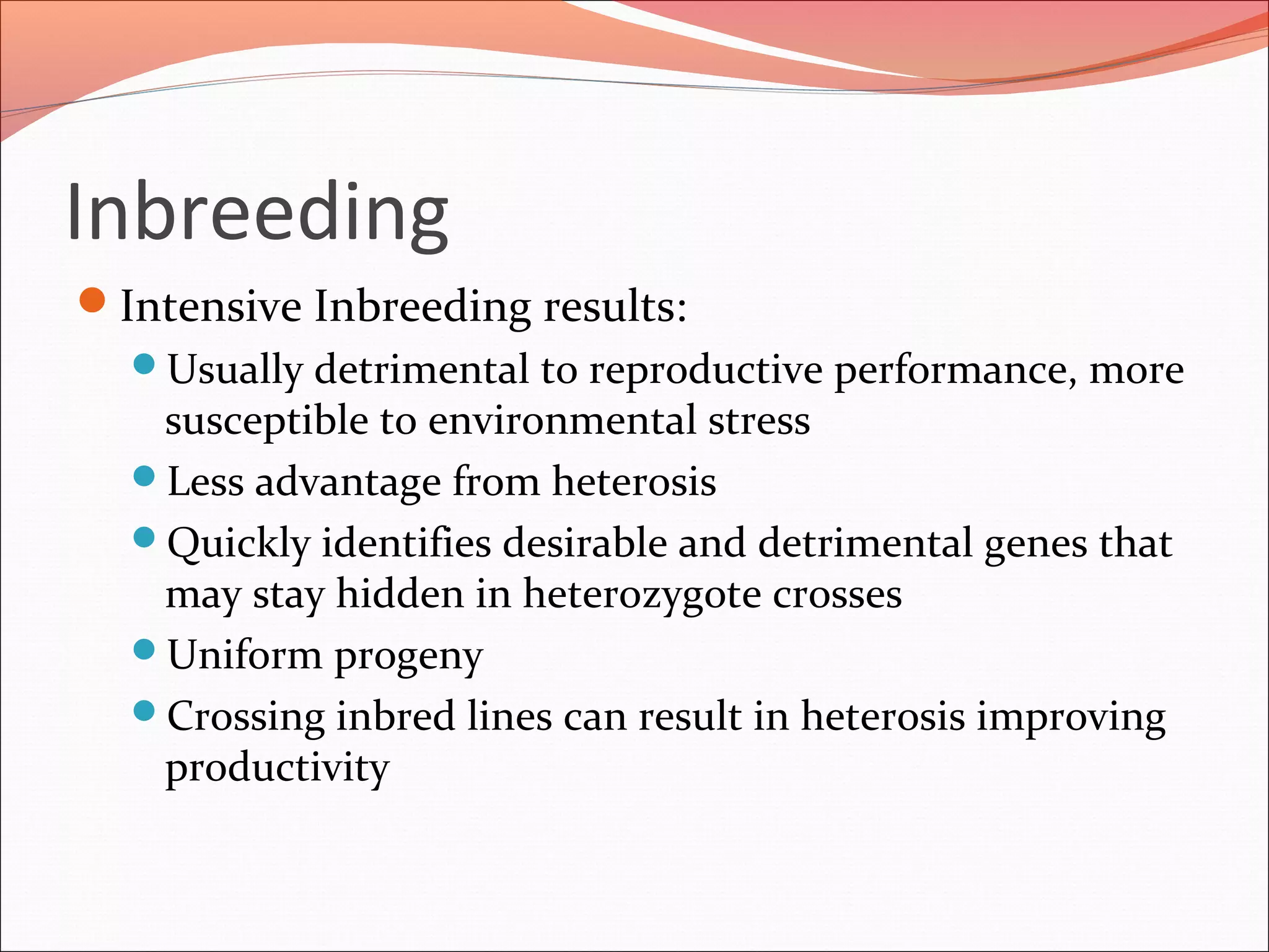 Inbreeding
Intensive Inbreeding results:
Usually detrimental to reproductive performance, more
susceptible to environmental stress
Less advantage from heterosis
Quickly identifies desirable and detrimental genes that
may stay hidden in heterozygote crosses
Uniform progeny
Crossing inbred lines can result in heterosis improving
productivity
 