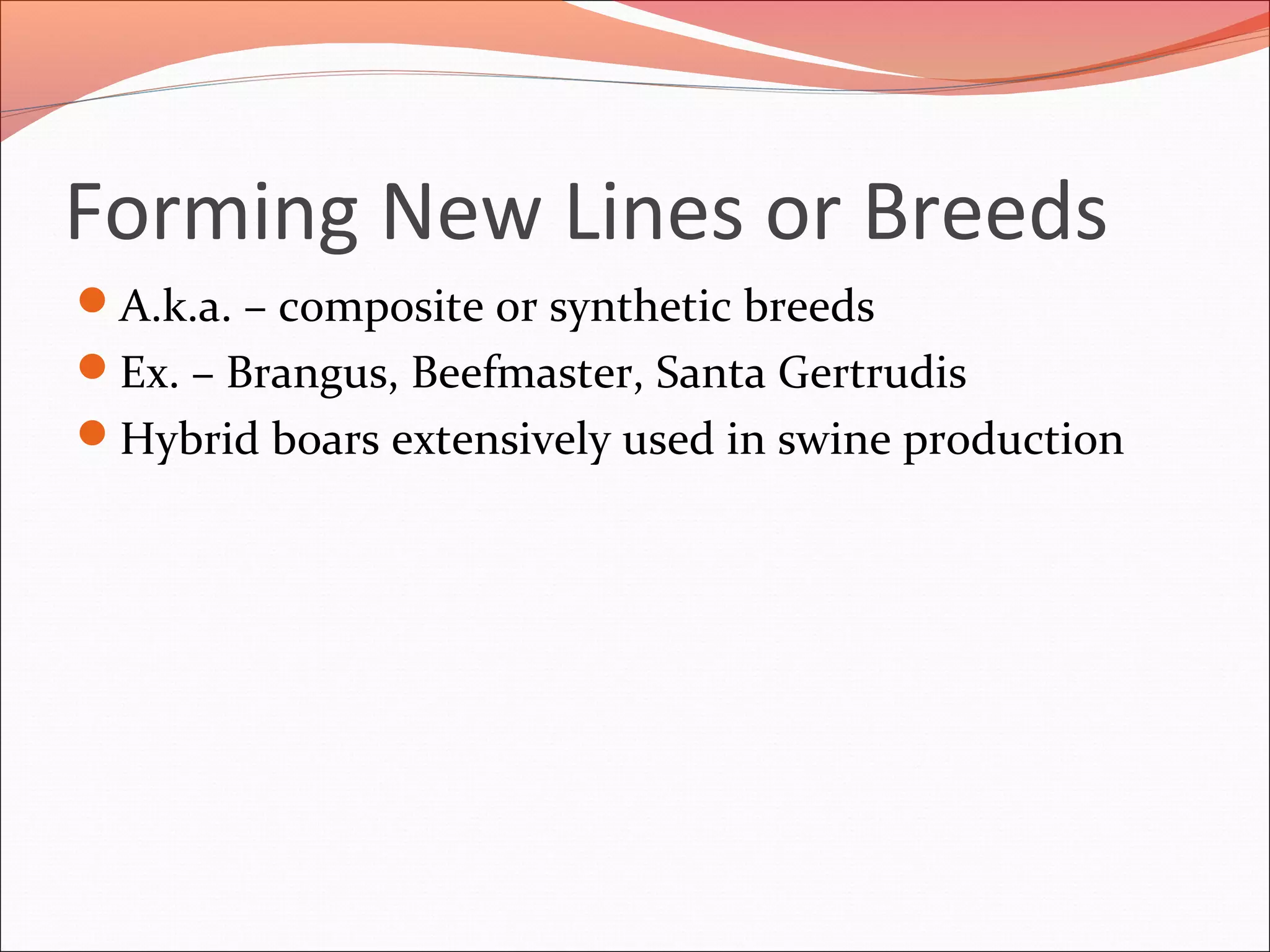 Forming New Lines or Breeds
A.k.a. – composite or synthetic breeds
Ex. – Brangus, Beefmaster, Santa Gertrudis
Hybrid boars extensively used in swine production
 