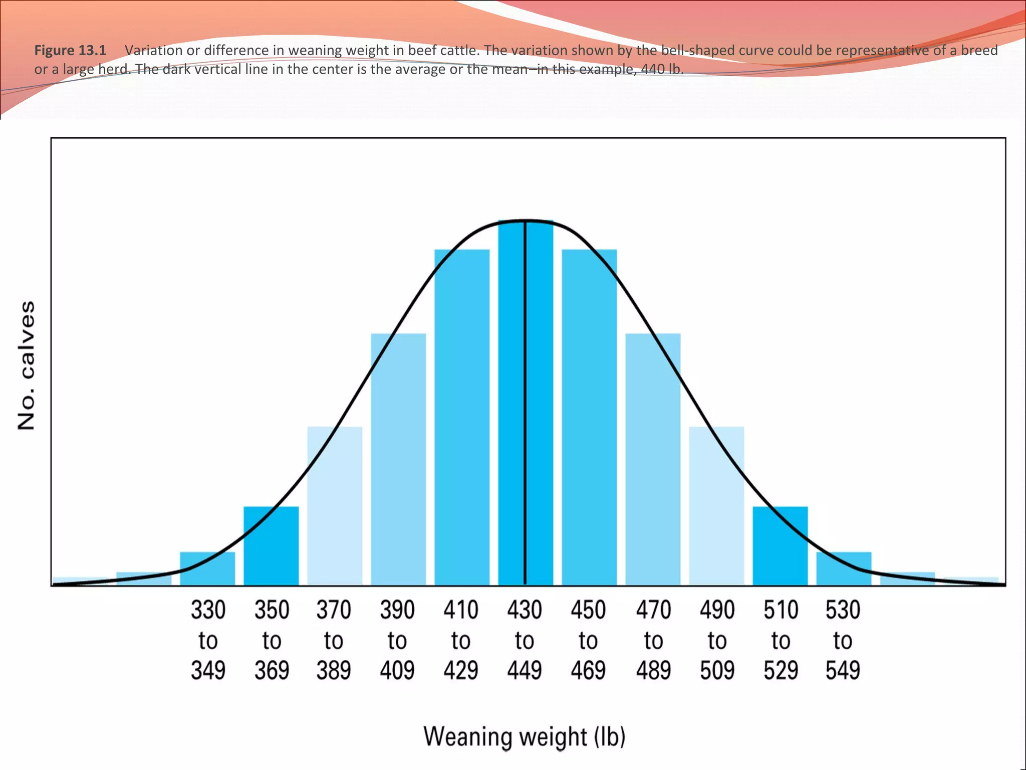 Figure 13.1 Variation or difference in weaning weight in beef cattle. The variation shown by the bell-shaped curve could be representative of a breed
or a large herd. The dark vertical line in the center is the average or the mean–in this example, 440 lb.
 