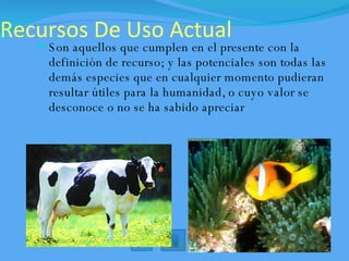 Recursos De Uso Actual Son aquellos que cumplen en el presente con la definición de recurso; y las potenciales son todas las demás especies que en cualquier momento pudieran resultar útiles para la humanidad, o cuyo valor se desconoce o no se ha sabido apreciar 