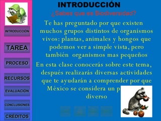 INTRODUCCIÓN ¿Sabes que es Biodiversidad? Te has preguntado por que existen muchos grupos distintos de organismos vivos: plantas, animales y hongos que podemos ver a simple vista, pero también  organismos mas pequeños En esta clase conocerás sobre este tema, después realizarás diversas actividades que te ayudarán a comprender por que México se considera un país Mega diverso INTRODUCCIÓN TAREA PROCESO RECURSOS EVALUACIÓN CONCLUSIONES CRÉDITOS 