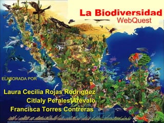 La Biodiversidad ELABORADA POR Laura Cecilia Rojas Rodríguez Citlaly Perales Arévalo Francisca Torres Contreras  WebQuest 