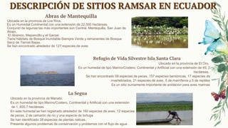 DESCRIPCIÓN DE SITIOS RAMSAR EN ECUADOR
Abras de Mantequilla
Ubicada en la provincia de Los Ríos.
Es un Humedal Continental con una extensión de 22,500 hectáreas.
Conjunto de lagunas las más importantes son Central, Mantequilla, San Juan de
Abajo,
El Abánico, Mapancillo y el Garzal.
Tiene hábitats de Bosque Inundable Siempre Verde y remanentes de Bosque
Seco de Tierras Bajas.
Se han encontrado alrededor de 127 especies de aves
La Segua
Ubicado en la provincia de Manabí.
Es un humedal de tipo Marino/Costero, Continental y Artificial con una extensión
de 1, 835,7 hectáreas.
En este humedal se han registrado alrededor de 160 especies de aves, 12 especies
de peces, 2 de camarón de río y una especie de tortuga
Se han identificado 39 especies de plantas nativas.
Presenta algunos problemas de conservación y problemas con el flujo de agua
Refugio de Vida Silvestre Isla Santa Clara
Ubicado en la provincia de El Oro.
Es un humedal de tipo Marino/Costero, Continental y Artificial con una extensión de 45, 7
hectáreas.
Se han encontrado 58 especies de peces, 157 especies bentónicas, 17 especies de
invertebrados, 21 especies de aves, 5 de mamíferos y 5 de reptiles
Es un sitio sumamente importante de anidación para aves marinas
 