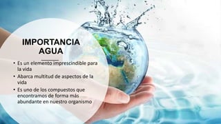 IMPORTANCIA
AGUA
• Es un elemento imprescindible para
la vida
• Abarca multitud de aspectos de la
vida
• Es uno de los compuestos que
encontramos de forma más
abundante en nuestro organismo
 