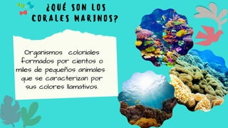 ¿QUÉ SON LOS
CORALES MARINOS?




Organismos coloniales
formados por cientos o
miles de pequeños animales
que se caracterizan por
sus colores llamativos.




 