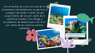 Los arrecifes de coral, son unos de los
ecosistemas más biodiversos, productivos y
complejos del mundo. A pesar de que
ocupan menos del uno por ciento de la
superficie oceánica, son refugio y
proveedores de alimento para casi el 25
por ciento de las criaturas marinas
existentes.
 