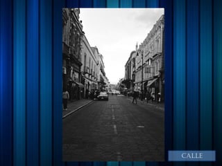 CALLE
 