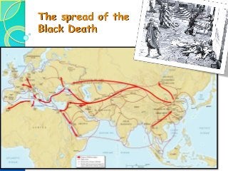 The spread of the
Black Death
 