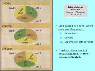 Land divided in 3 parts, where
each year they rotated:
i. Fallow land
ii. Cereals
iii. Legumes or oats (avena)
 It reduced the amount of
uncultivated land.  only ⅓
was uncultivated.
Triennial crop
rotation
(instead of biennial
crop rotation)
 